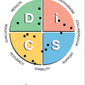 Everything DiSC Facilitator Report